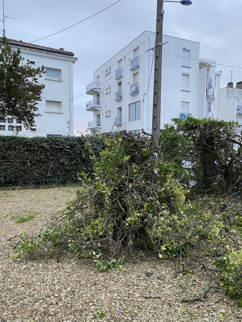 Rikiki Beach  Royan 2024 : Travaux - Jardin